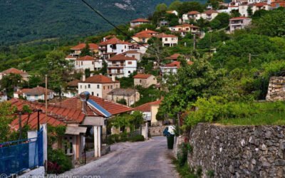 Rachoni Thassos Guide by a Local: 13 Best Things to Do in Rachoni Thassos